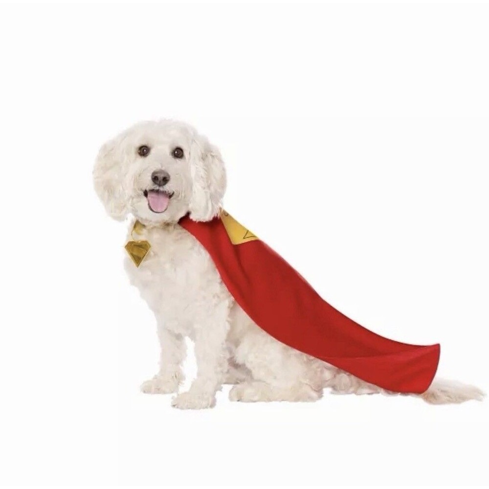 Halloween Krypto Pet Costume Supergirl Woman of Tomorrow Red/Blue Poodle